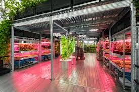 Because when we grow our own food, even in small apartments, it has a positive impact on our health and the health of our planet. Gardening Will Save The World Ikea And Tom Dixon Blokbuild