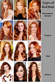 Pin By Sheila Dehart On Belleza Shades Of Red Hair Hair Shades Hair Color For Fair Skin