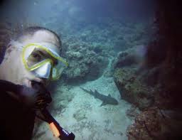 Shark Selfies from our Facebook Friends
