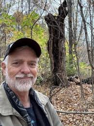 Three Bears Cafe, 1824 Arizona Highway 260, Heber, AZ 85928, US