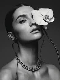 Vanessa Fortes Tonietto (fortestonietto) — Perfil