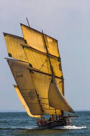 La Semaine Du Golfe 2015 Faire De La Voile Grands Voiliers Voilier