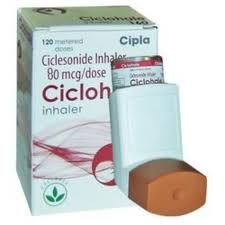Image result for Inhaled Ciclesonide