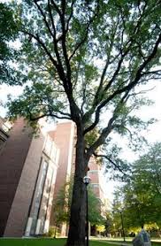 Image result for Turquoise 1961 Tappan