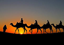 For guys shots or cotton pants and for women salwar kamiz. Camel Horse Rides Camel Ride In The Dubai Desert At Sunrise With Traditional Breakfast