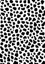 Dalmation Print Iphone Prints Print Design Pattern Print Wallpaper