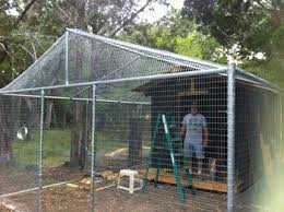 pin by bonnie bailey on pvc chicken coop dog pens peacock coop