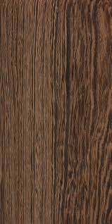 Image result for Millettia stuhlmannii