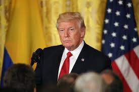Image result for donald trump