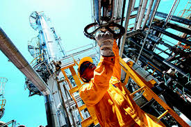 Customer 0146389231 of contact privacy inc. Petronas Gas To Supply Steam To Japan S Polyplastics Unit The Star