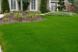 This has the nutrient your. Level Lawns Home Facebook