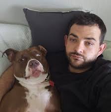 Late Monday night, 21 more dogs from the recent Tumalo case arrived at  HSCO, including tiny puppies only 2.5 weeks old. Our team jumped into  action, triaging each dog, making sure they