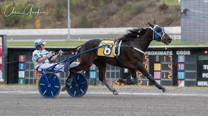 Blue Ivy turns back foes in Open