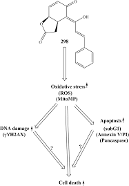 Image result for Cryptocarya liebertiana