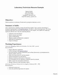 Pin On Resume Templates