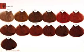 Salerm Hair Color In 2016 Amazing Photo Haircolorideas Org