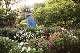 Jazz it up this summer with the ryan hernandez quartet! The Reeves Reed Arboretum Is A Flowering Gem