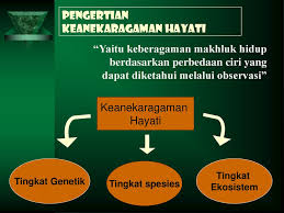 Keanekaragaman Hayati Ppt Download