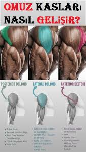 Omuz Antrenman Hacim Programi 2020 Fitness Fitness Programlari Vucut Gelistirme