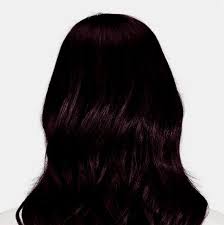 Palermo Black Rich Black Hair Color With Hints Of Aubergine Black Cherry Hair Color Hair Color For Black Hair Aubergine Hair Color