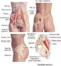 A problem in one of these structures can cause dysfunction and pain in the other. Fitness Inspiration Relieve Low Back Pain By Getting A Therapeutic Massage On This Muscle Hip Flexo Fitness Magazine Magazine Numero 1 Fitness Mode De Vie Sante Bien Etre Workouts