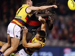Adelaide's will hamill competes for the ball against hawthorn's jaeger o'meara. Gwabbn6yha1b3m
