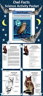 Owls Activities Owl Facts Science Activity Bundle 2nd 3rd Grade Color B W Owl Activities Owl Facts Science Activities
