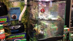 Zoo Med Paludarium Not Even Out Yet Terrarium And Aquarium In One Youtube