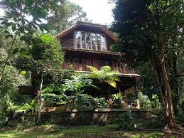 We hope this will help you in learning languages. Happy Ria Homestay Prices Lodge Reviews Bukit Lawang Sumatra Tripadvisor