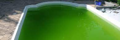 Grüne ablagerungen am boden pool sauger zu schwach. Poolwasser Grun So Wird S Wasser Wieder Klar Aussenpool De