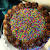 Boy Sprinkle Birthday Cake