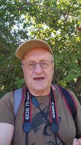 Image result for Bridelia mollis