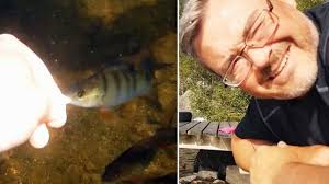 Se de tama abborrarna