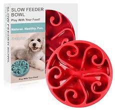Check spelling or type a new query. Siensync Slow Feeder Dog Bowl Non Slip Puzzle Bowl Fun Feeder Interactive Bloat Stop Dog Bowl Eco Friendly Non Toxic Bamboo Fiber Slow Feed Dog Bowl For Large Medium Small Dogs Buy Online