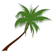 Free To Use Public Domain Palm Tree Clip Art Palm Tree Clip Art Palm Tree Vector Palm Tree Drawing