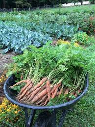 Loans to start a farm. Funding Resources For Farmers Loans Grants Beginning Farmers