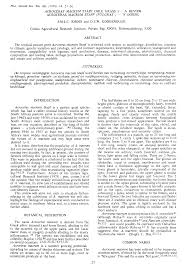 Image result for Acroceras macrum