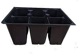 The plant cell is the basic structural and functional unit found plant cell definition: Amazon Com Seed Starter Trays 300 Deep Extra Large Cells Total 50 Trays Of 6 Cells Each Patio Lawn Garden
