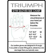 Triumph Power Cg 111 Gym Gloves