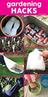 Gardening Hacks Garten Garten Ideen Topf Und Kubelpflanzen