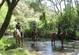 horse riding in rotorua equestrian vacations horse vacation horse riding