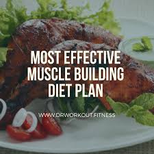 most effective muscle building diet plan dr workout