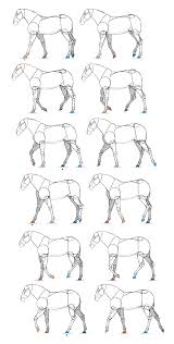 Sketchbook Original How To Animate Horses Monika Zagrobelna Horse Drawings Animal Drawings Flip Book