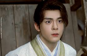 Mysterious Lotus Casebook