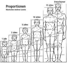 Kinder Proportionen Zeichnen Im Vergleich Kinder Zeichnen Zeichnen Menschen Zeichnen Lernen