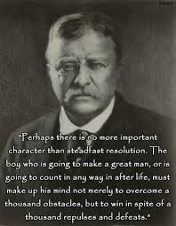 THEODORE ROOSEVELT GLOSSY POSTER PICTURE PHOTO BANNER teddy president usa  3945 Posters & Prints