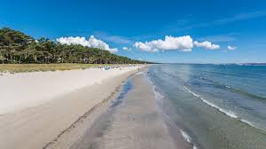 We did not find results for: Bild Nr 1593 Ostseebad Binz Strand Rugenfotos De