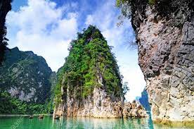 5 Best Innovative Strategies and Tactics in Anti-Poaching Efforts