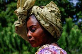 Image result for Afrobrunnichia