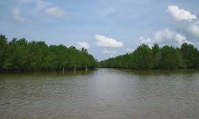 Kelurahan/desa pulau lintang (kodepos : 15 Tempat Wisata Di Tanjung Jabung Barat Terbaru Terhits Dikunjungi Andalas Tourism